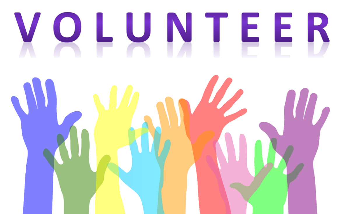 volunteer raised hands